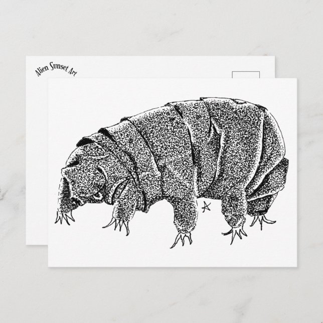 Tardigrade Postkarte (Vorne/Hinten)