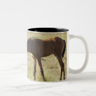 Tarifa, Cadiz, Andalusien, Spanien 2 Zweifarbige Tasse