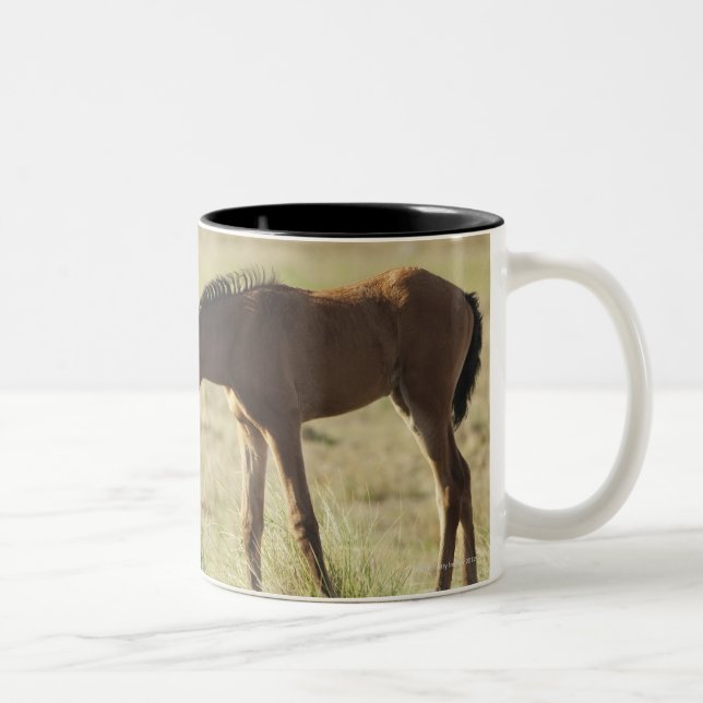 Tarifa, Cadiz, Andalusien, Spanien 2 Zweifarbige Tasse (Rechts)