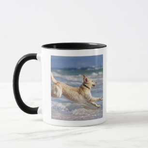 Tarifa, Cadiz, Andalusien, Spanien Tasse
