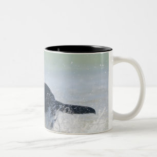 Tarifa, Cadiz, Spanien Zweifarbige Tasse