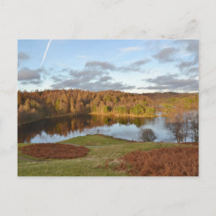 Tarn Hows - English Lake District Postkarte