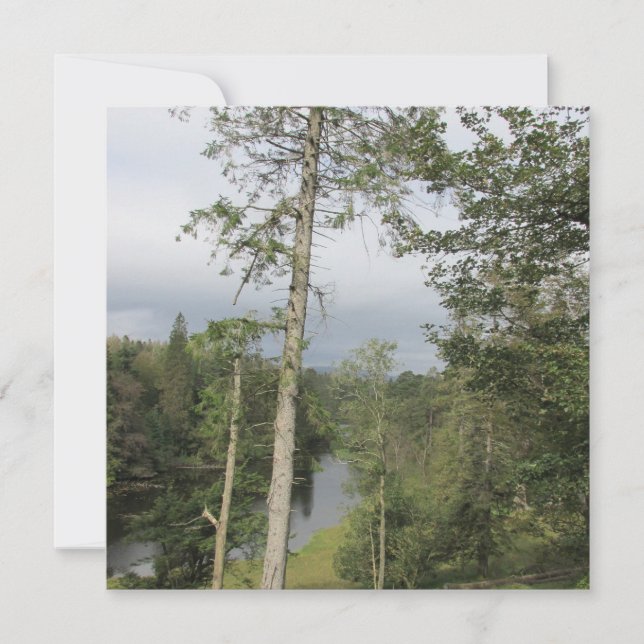 Tarn Hows Trees Flat Greeting Card (Vorderseite)