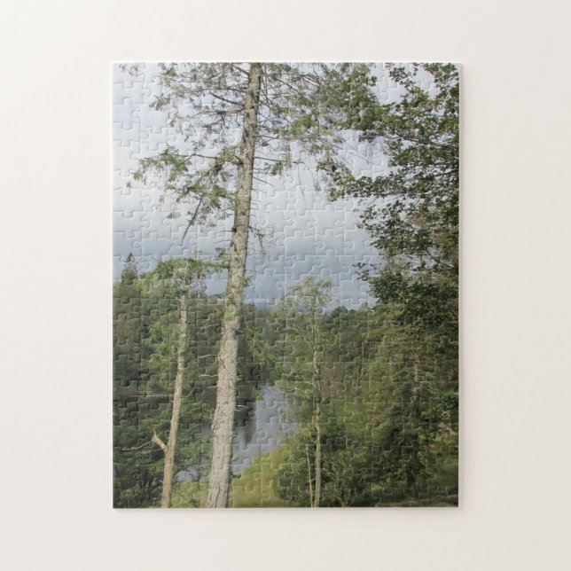 Tarn Hows Trees Jigsaw Puzzle (Vertikal)