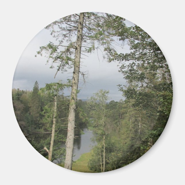 Tarn Hows Trees Magnet (Vorne)