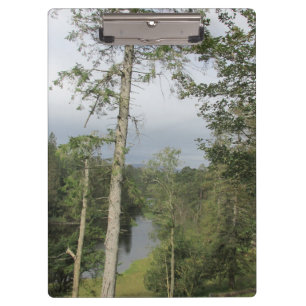 Tarn Hows Trees-Zwischenablage Klemmbrett