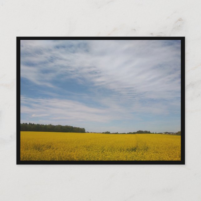 Tarnowskie Góry (Polen) Postkarte (Vorderseite)