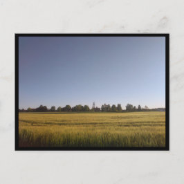 Tarnowskie Góry (Polen) Postkarte