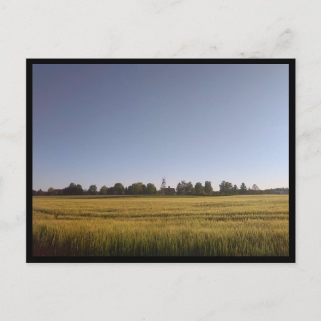 Tarnowskie Góry (Polen) Postkarte (Vorderseite)