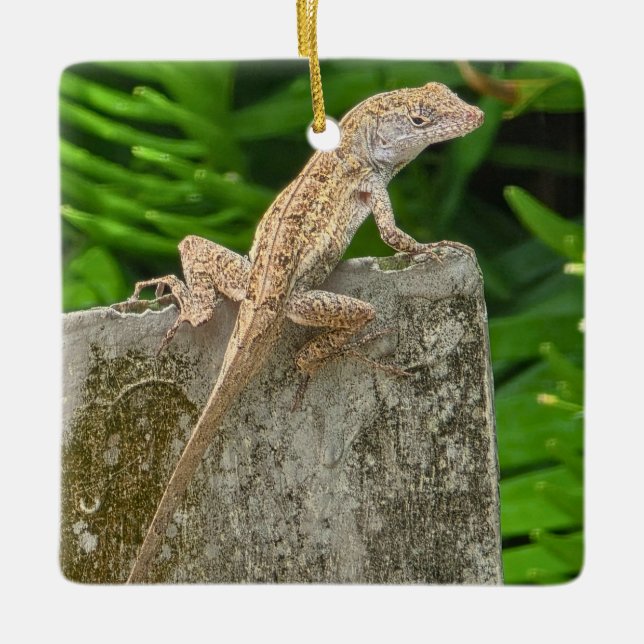 Tarnungsmeister Keramikornament (Vorderseite)