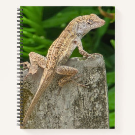 Tarnungsmeister Notizbuch