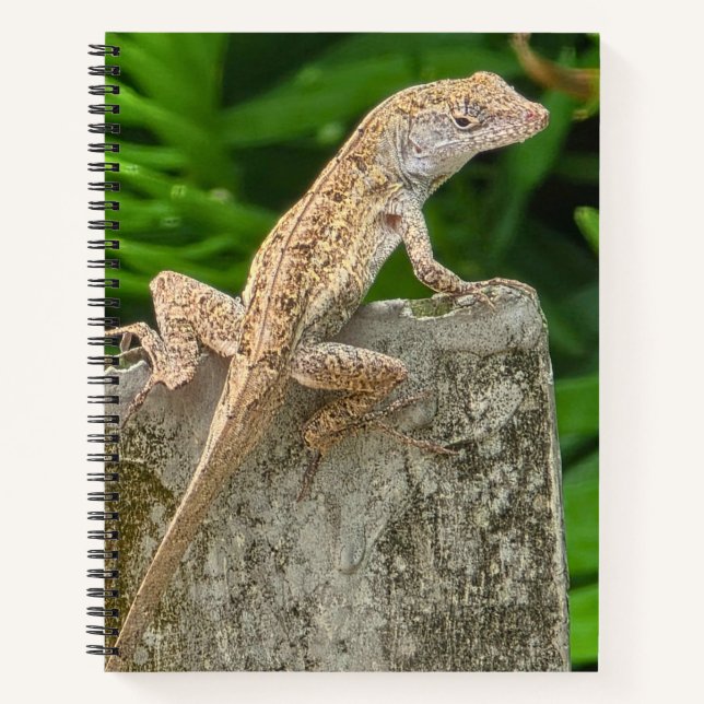 Tarnungsmeister Notizbuch (Vorderseite)