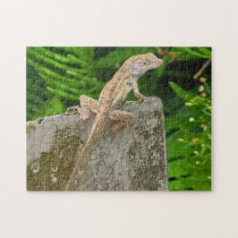 Tarnungsmeister Puzzle