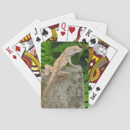 Tarnungsmeister Spielkarten