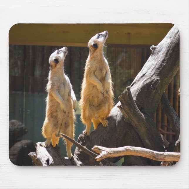 Taronga Western Plains Zoo Dubbo - Meerkat Mousepad (Vorne)