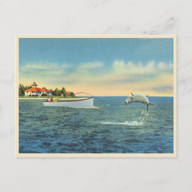 Tarpon-Fischerei in Florida Vintag Postkarte (Vorderseite)