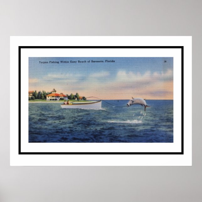 Tarpon Fischerei Sarasota 20x28 Poster (Vorne)