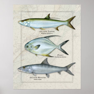 Tarpon, Genehmigung, Bonefish Trio Poster