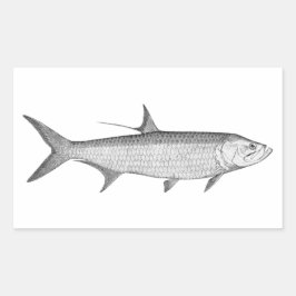 Tarpon-Logo (Linie Art) Rechteckiger Aufkleber