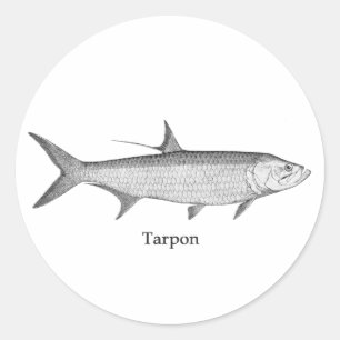 Tarpon-Logo (Linie Art) Runder Aufkleber