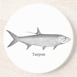 Tarpon-Logo (Linie Kunst) Untersetzer