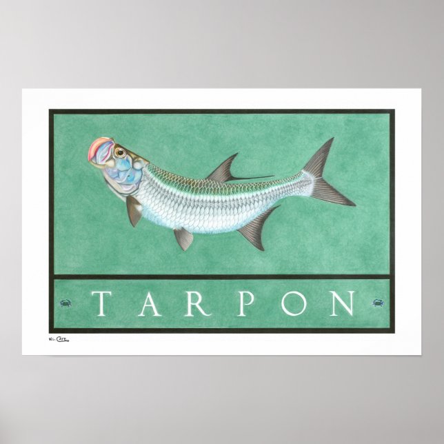 Tarpon-Plakate, -drucke und -rahmen Poster (Vorne)