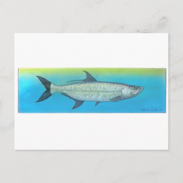 Tarpon Postkarte (Vorderseite)