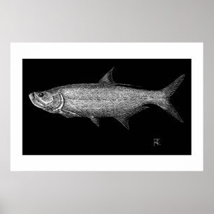 Tarpon Scratch art Poster