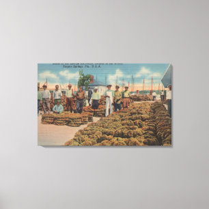 Tarpon Springs, FL - Szene des Schwamm-Austausches Leinwanddruck