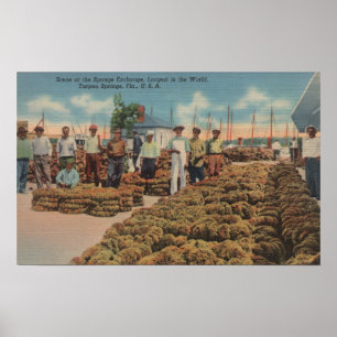 Tarpon Springs, FL - Szene des Schwamm-Austausches Poster