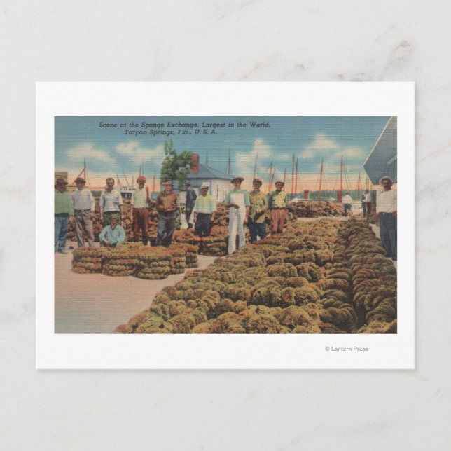 Tarpon Springs, FL - Szene des Schwammaustauschs Postkarte (Vorderseite)
