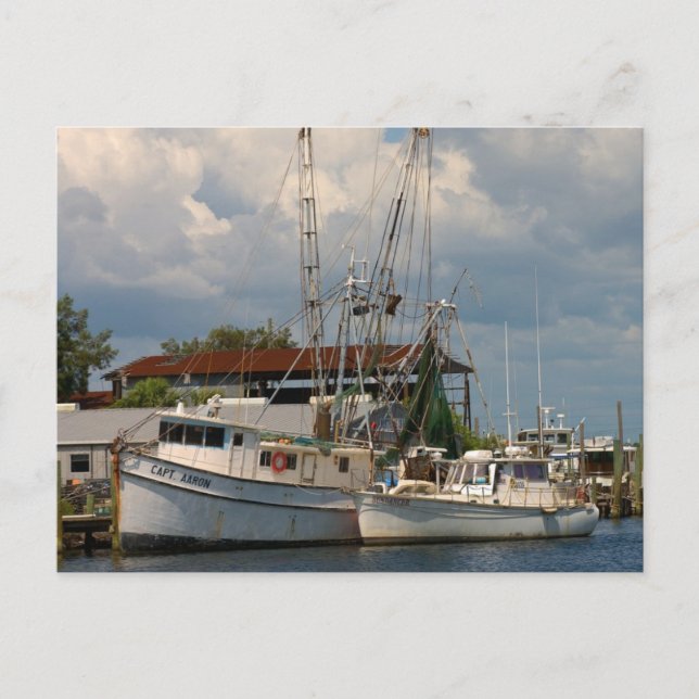 Tarpon Springs, Florida Post Cards Postkarte (Vorderseite)