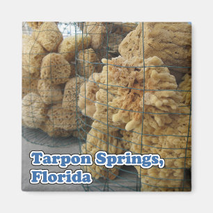 Tarpon Springs Sponges Magnet