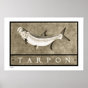 Tarpon Vintage B&W Posters, Prints und Frames Poster