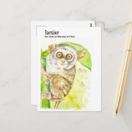Tarsier- DNM-Postkarten Postkarte