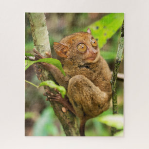 Tarsier Monkey Wildlife Puzzle