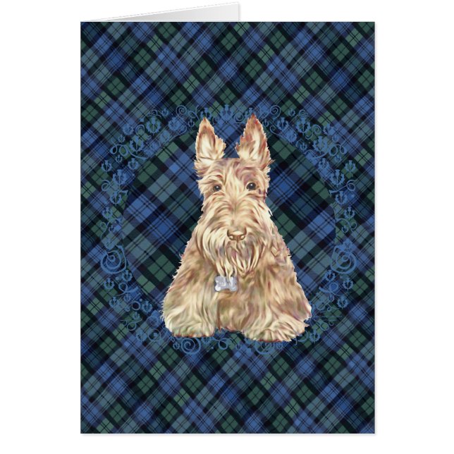 Tartan Scottie (Vorne)