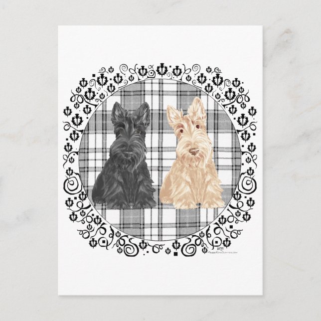 Tartan Scotties Postkarte (Vorderseite)
