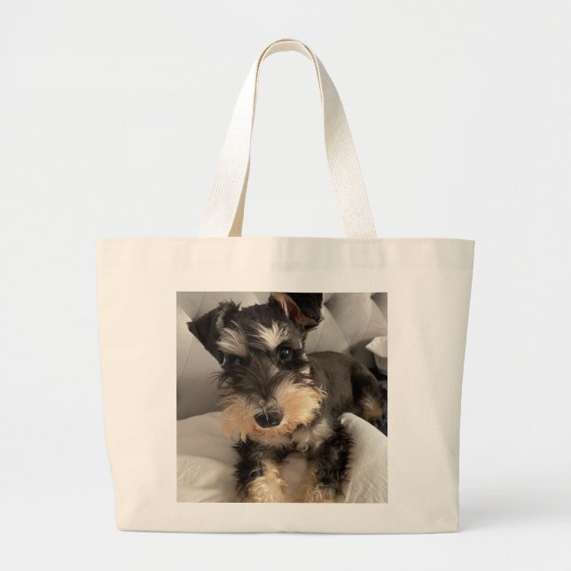 Tasche (Vorne)