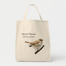 Tasche Hermit Thrush