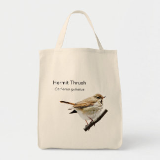 Tasche Hermit Thrush