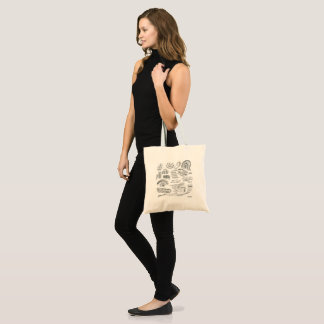 Tasche Strukturgeologie