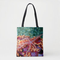 Tasche von Seestern aus Korallenriffen