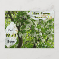Taschentuch Tree Hay Fever Season Postcard