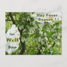 Taschentuch Tree Hay Fever Season Postcard