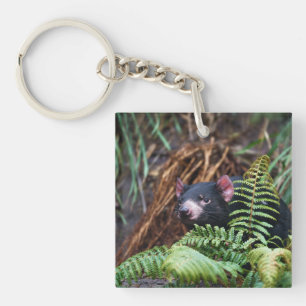 Tasmanian Devil Begegnung Schlüsselanhänger