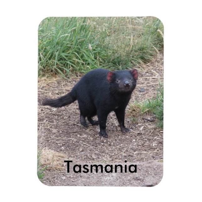 Tasmanian Devil Flexible Magnet (Vertikal)