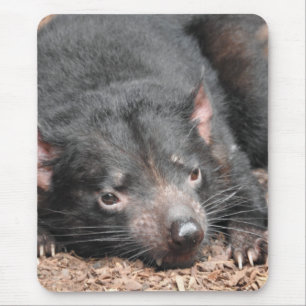 Tasmanian Devil Mousepad