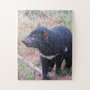 Tasmanian Devil Puzzle