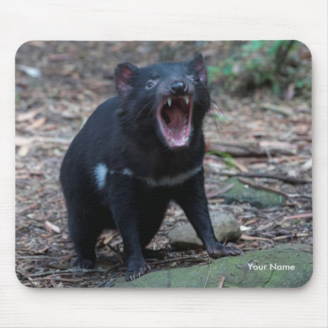 Tasmanian Devil Tasmania Australien Nah Up Foto Mousepad (Vorne)